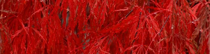 Dies ist ein Test, bitte nicht lesen!